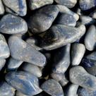 Quartzo azul- pedra rolada