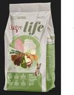 Quatree Life Filhote Raças Médias E Grandes Frango Arroz 3kg Quatree Life Filhote Raças Médias E Grandes Frango Arroz 3kg