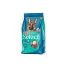 Quatree Select Cão Adulto Médio E Grande Carne Arroz B 15kg Quatree Select Cão Adulto Médio E Grande Carne Arroz B 15kg
