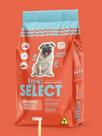 Quatree seletc 15kg frango e arroz cães adultos raças pequenas - Quatree select Quatree seletc 15kg frango e arroz cães adultos raças pequenas - Quatree select