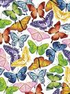Quebra-cabeça Ceaco Summer Butterflies 300 peças