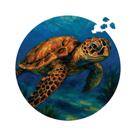 Quebra-cabeça Circular Tartaruga-Marinha 331 peças