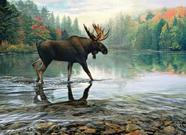 Quebra-cabeça Cobble Hill Moose Crossing 1000 peças com pôster Quebra-cabeça Cobble Hill Moose Crossing 1000 peças com pôster