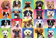 Quebra-cabeça JOYIN 300 peças de cães multicoloridos para crianças/adultos