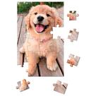 Quebra Cabeça Pet Cãozinho c/ 24 pçs Quebra Cabeça Pet Cãozinho c/ 24 pçs