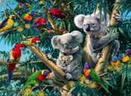 Quebra-cabeça Ravensburger Koalas em uma árvore 500 peças