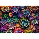 Quebra-cabeça Rocorose 1000 peças Suculentas coloridas Natureza