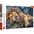 Quebra-Cabeça Trefl Sleeping Lion 1000 Peças - Para +12 Anos