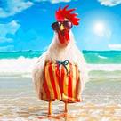 Quebra-cabeças de madeira WZVZGZ Cute Beach Chicken 300 peças