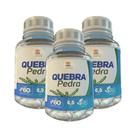 Quebra Pedra - 60 Cáps 500Mg Kit Com 3