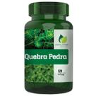 Quebra Pedra Puro 500mg 120 Cáps Fonte Verde