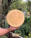 Queijo Alagoa Artesanal Curado 6 Meses Peça Inteira 4,5kg Queijo Alagoa Artesanal Curado 6 Meses Peça Inteira 4,5kg
