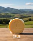 Queijo Artesanal Alagoa Especial - 900g - Sítio Pinheirinho - Queijo Semi-Duro