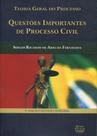 Questões Importantes do Processo Civil: Teoria Geral do Processo Questões Importantes do Processo Civil: Teoria Geral do Processo