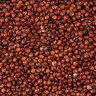 Quinoa Vermelha em Grãos - 1kg