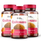 Quitosana 500mg em Capsulas - Suporte para Gerenciamento de Peso e Colesterol- 3 POTES