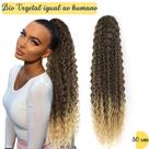 Rabo de Cavalo Bio Vegetal Dsoar hair Ombre Mel