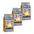 Ração Billy Cat Select Gatos Adultos Frango - 1Kg 3 Unidades Ração Billy Cat Select Gatos Adultos Frango - 1Kg 3 Unidades