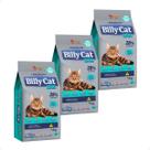 Ração Billy Cat Select Gatos Castrados - 1Kg 3 unidades