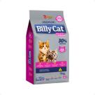 Ração Billy Cat Select Gatos Filhotes - 1Kg Ração Billy Cat Select Gatos Filhotes - 1Kg