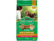 Ração DOG CHOW Cães Adultos Minis e Pequenos Frango e Arroz 1kg