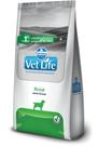 Ração Farmina Vet Life Renal Mini Cães de Raça Pequena 2kg Ração Farmina Vet Life Renal Mini Cães de Raça Pequena 2kg