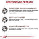 Ração Hepatic Canine 2kg Royal Canin