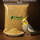 Ração Mistura Para Calopsita Periquito Agapone Gourmet 10kg Animais Vitamina Nutrição Energia