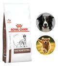 Ração P/ Cães Adultos Royal Canin Gastrointestinal 2 Kg