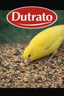 Ração para Canario Dutrato 5kg- Nutrição Completa e Plumagem Saudavel Ração para Canario Dutrato 5kg- Nutrição Completa e Plumagem Saudavel