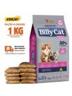 Ração Para Gato Billy Cat Select Gatos Filhotes 1 KG Granel