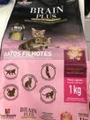 Ração para gatos filhotes premium especial