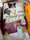 Ração pra cães adultos