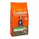 Ração Premier Golden Power Training Cães Adultos Frango e Arroz 15kg