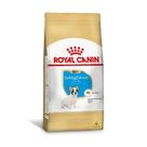 Ração Puppy para Cães Filhotes Bulldog Francês Royal Canin 2,5Kg