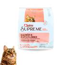 Ração Quatree Supreme Para Gatos Castrados Salmão e Batata Doce Kit Unitário 1KG Ração Quatree Supreme Para Gatos Castrados Salmão e Batata Doce Kit Unitário 1KG
