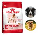 Ração Royal Canin 12kg Medium Adulto Cães Premium