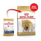 Racao royal canin bulldog frances ad 2,5kg Racao royal canin bulldog frances ad 2,5kg