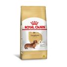 Ração Royal Canin Dachshund para Cães Adultos 1kg