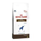 Ração Royal Canin Gastro Intestinal Cães Adultos - 10,1Kg