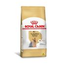 Ração Royal Canin Para Cães AdultosYorkshire Terrier 2,5Kg