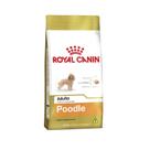 Ração Royal Canin Poodle - Cães Adultos - 7,5kg