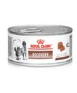 Ração Royal Canin Veterinary Recovery Lata Cães E Gatos 195g Ração Royal Canin Veterinary Recovery Lata Cães E Gatos 195g