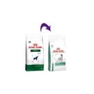 Ração Royal Canin Veterinary Satiety Cães Adultos 10,1 Kg