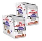 Ração Sachê Royal Canin Sterilised Gatos Castrados Kit 24un. Ração Sachê Royal Canin Sterilised Gatos Castrados Kit 24un.