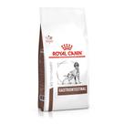 Ração Seca Veterinary Diet Gastrointestinal para Cães Adultos com Sensibilidades Gastrointestinais 2Kg Royal Canin