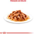 Ração Úmida Royal Canin Renal Para Gatos Adultos 85g Ração Úmida Royal Canin Renal Para Gatos Adultos 85g