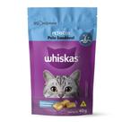 Ração Whiskas Snacks Pelo Saudável 40g - Embalagem com 24 Unidades