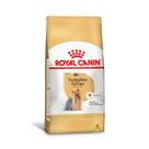 Ração Yorkshire Terrier Adultos 1kg Royal Canin