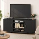 Rack para TV Até 65 Polegadas Móvel para Sala com 2 Portas Prateleiras Ajustáveis Preto